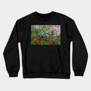 Old trailer Crewneck Sweatshirt